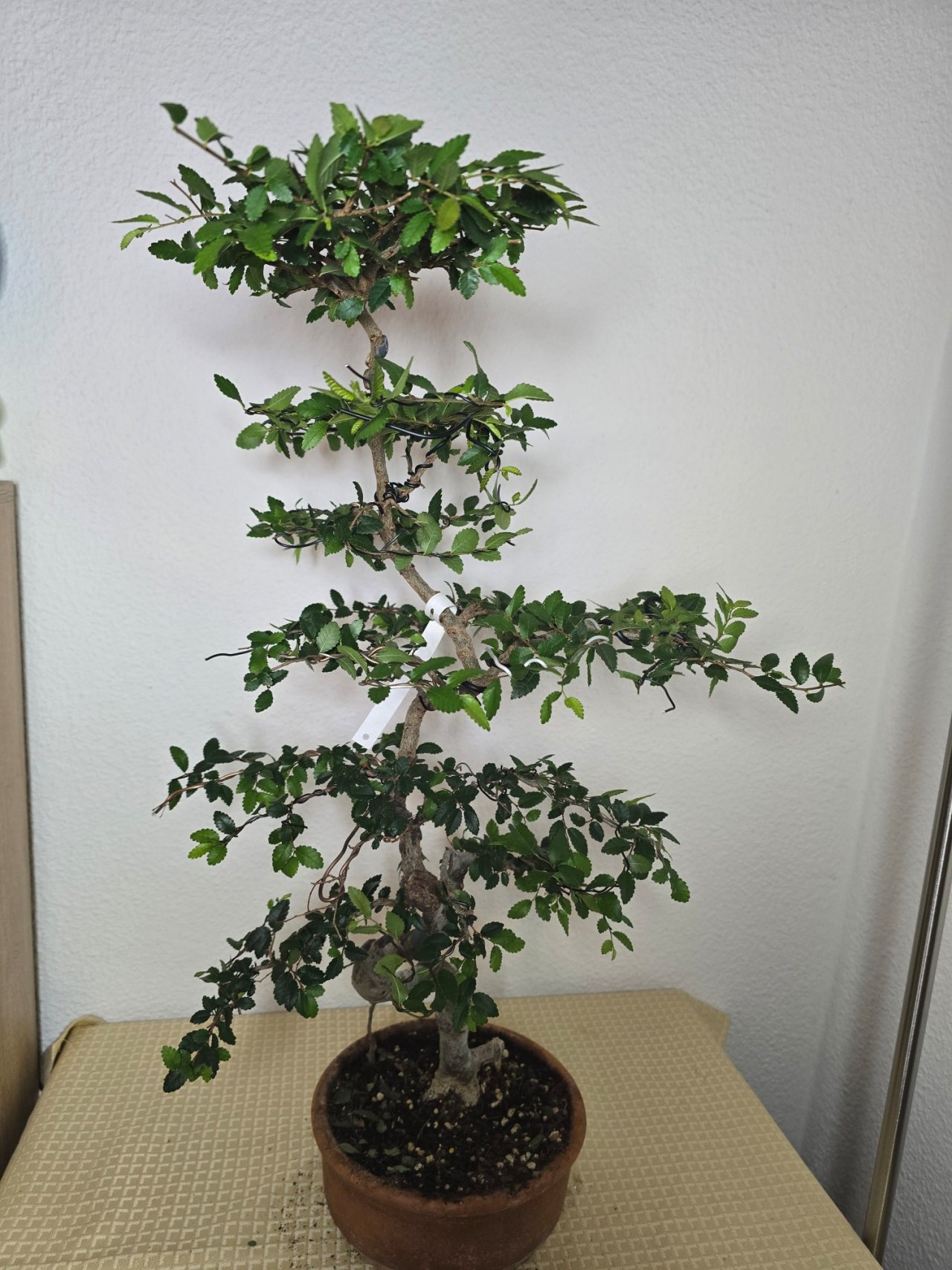 Photo 18