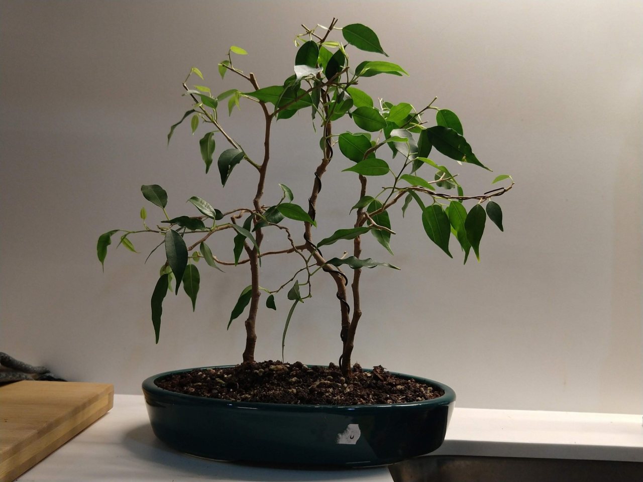 Photo 14