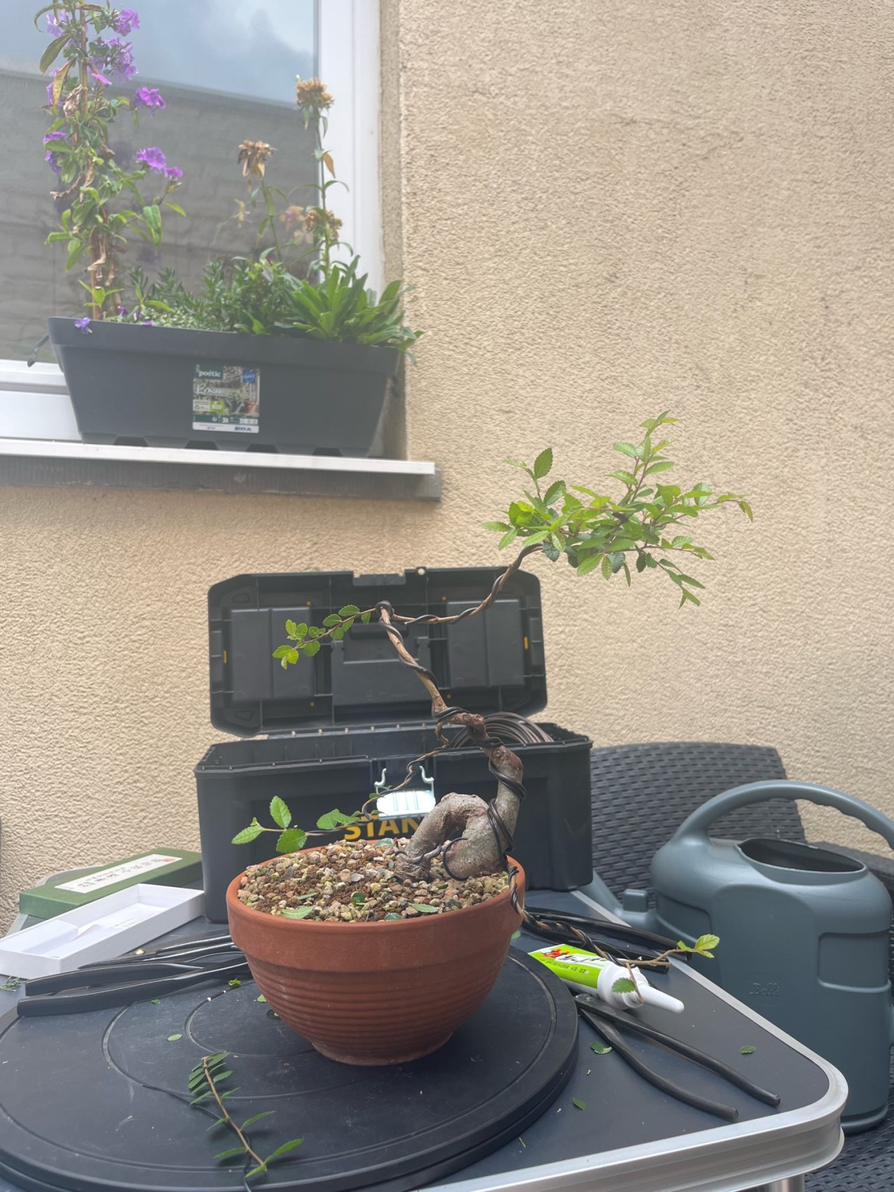 Photo 15