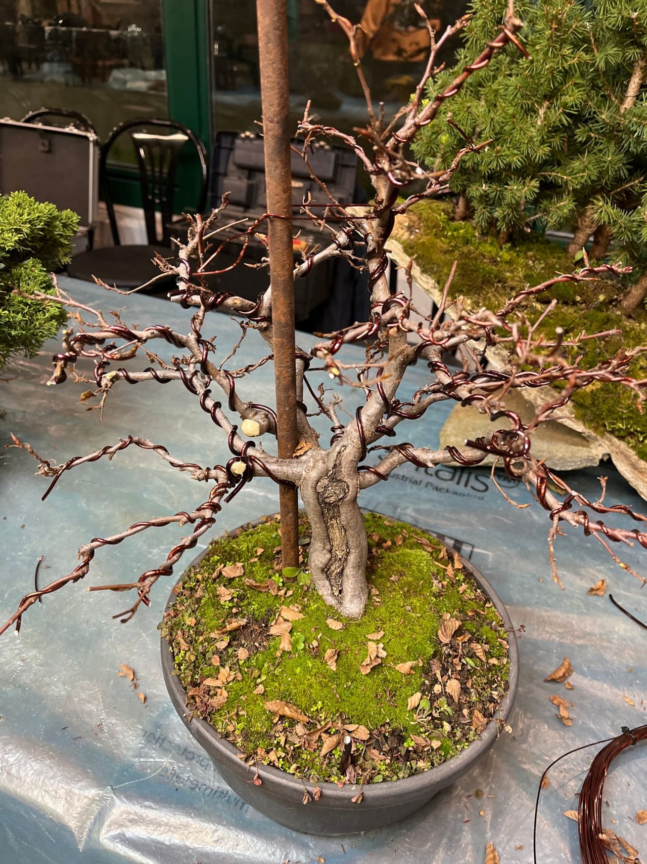Photo 11