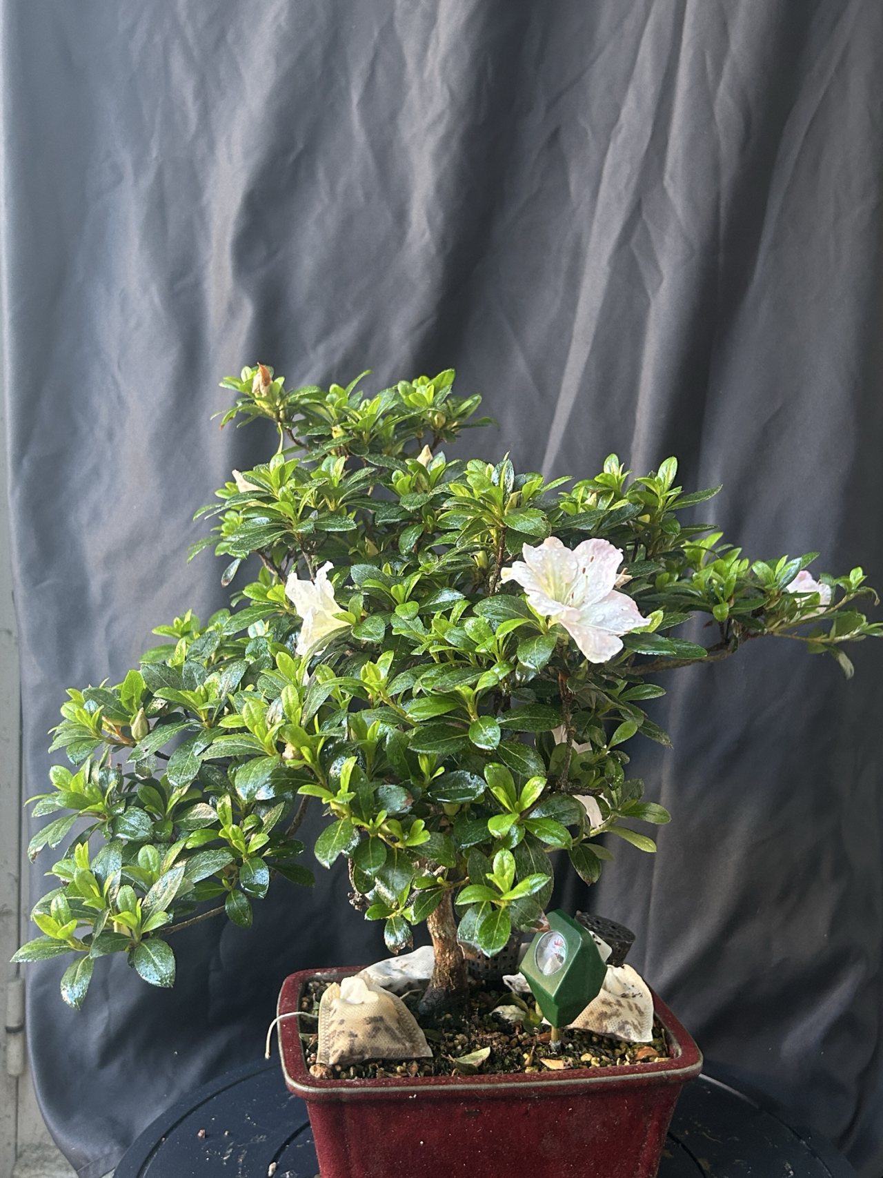 Photo 13