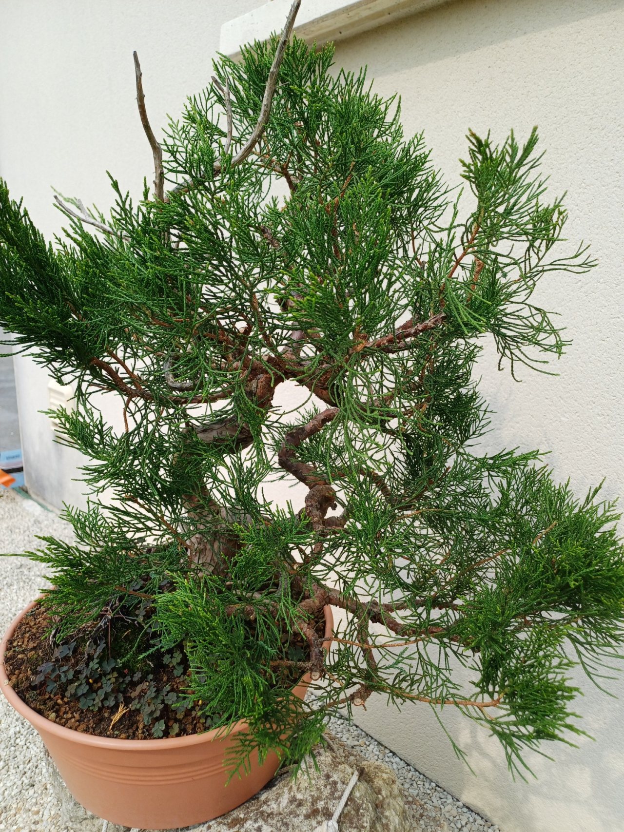 Photo 8