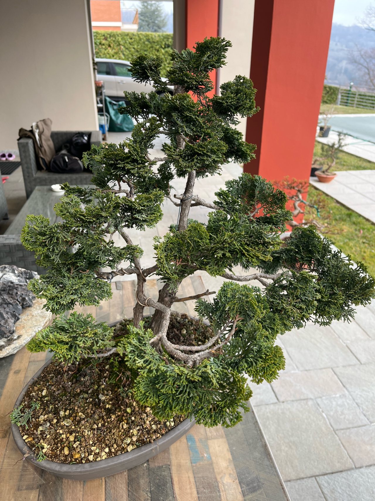 Photo 12