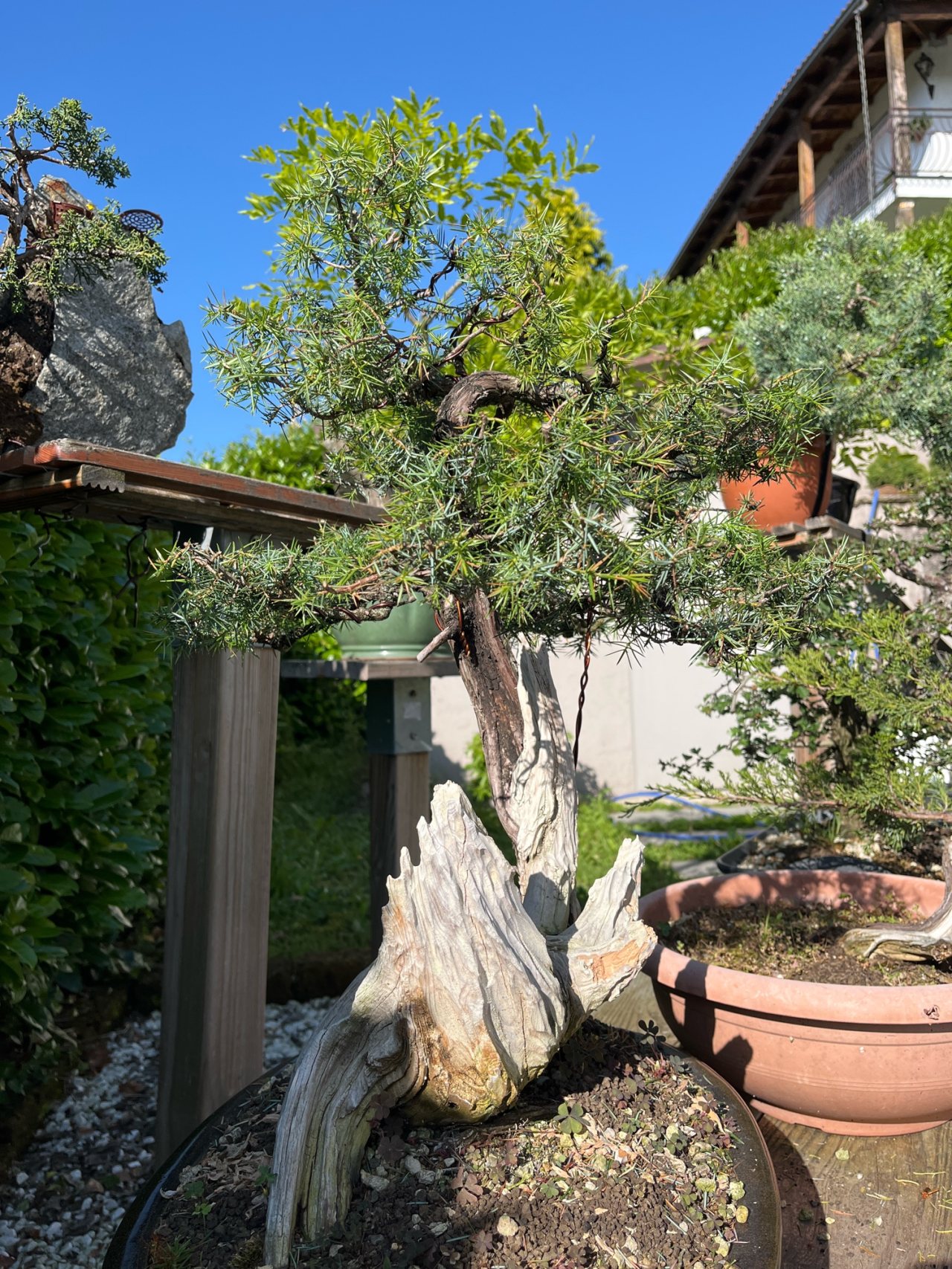 Photo 12