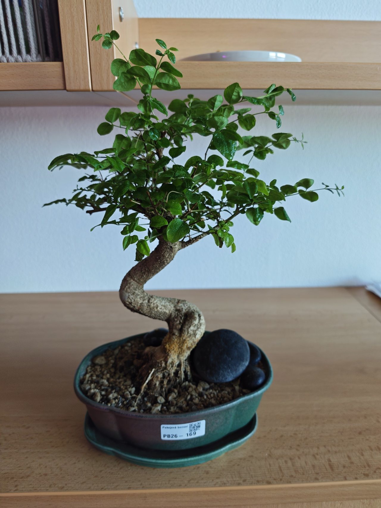 Photo 13