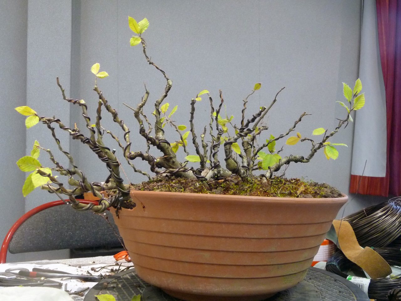 Photo 13
