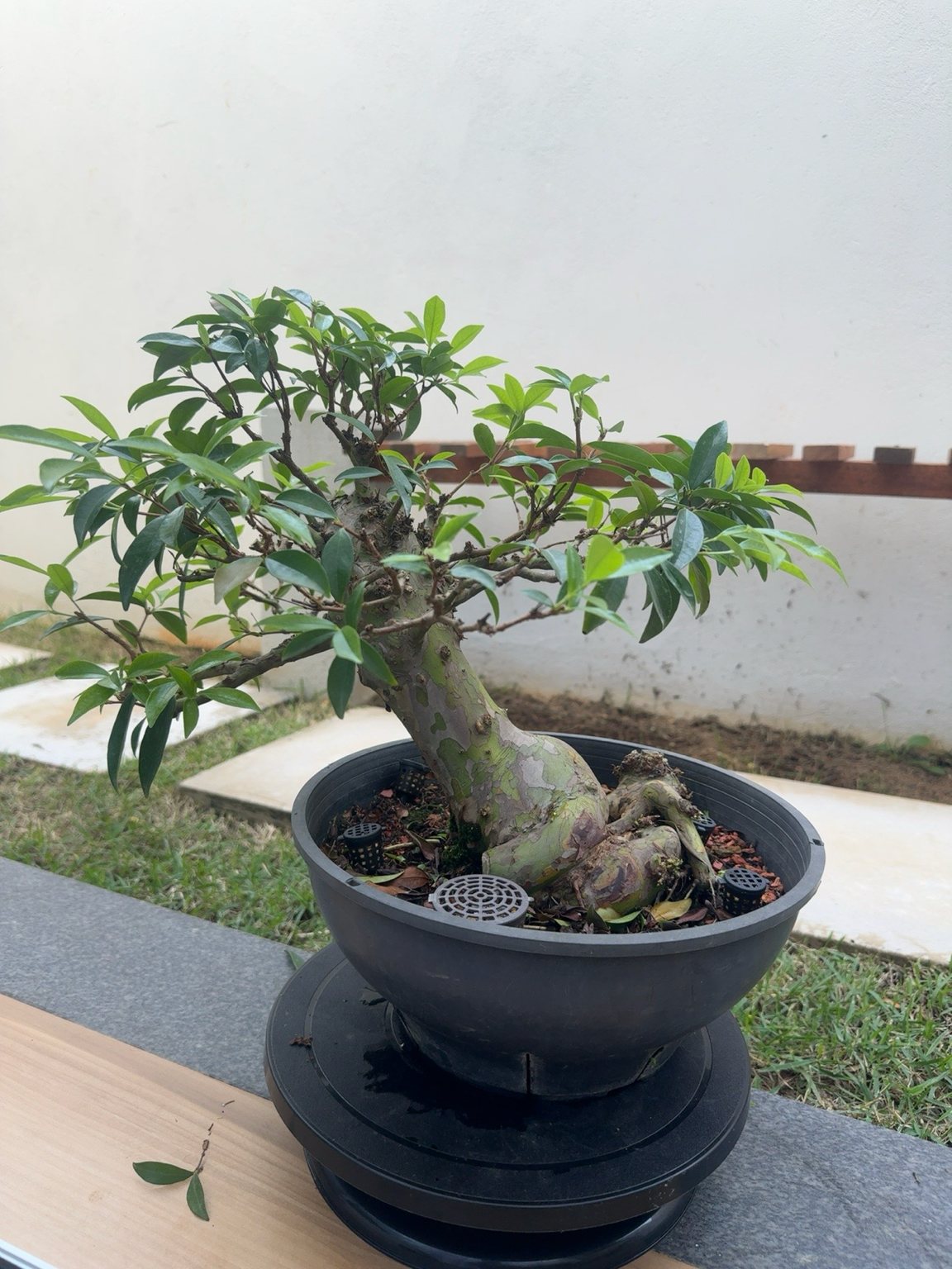 Photo 21