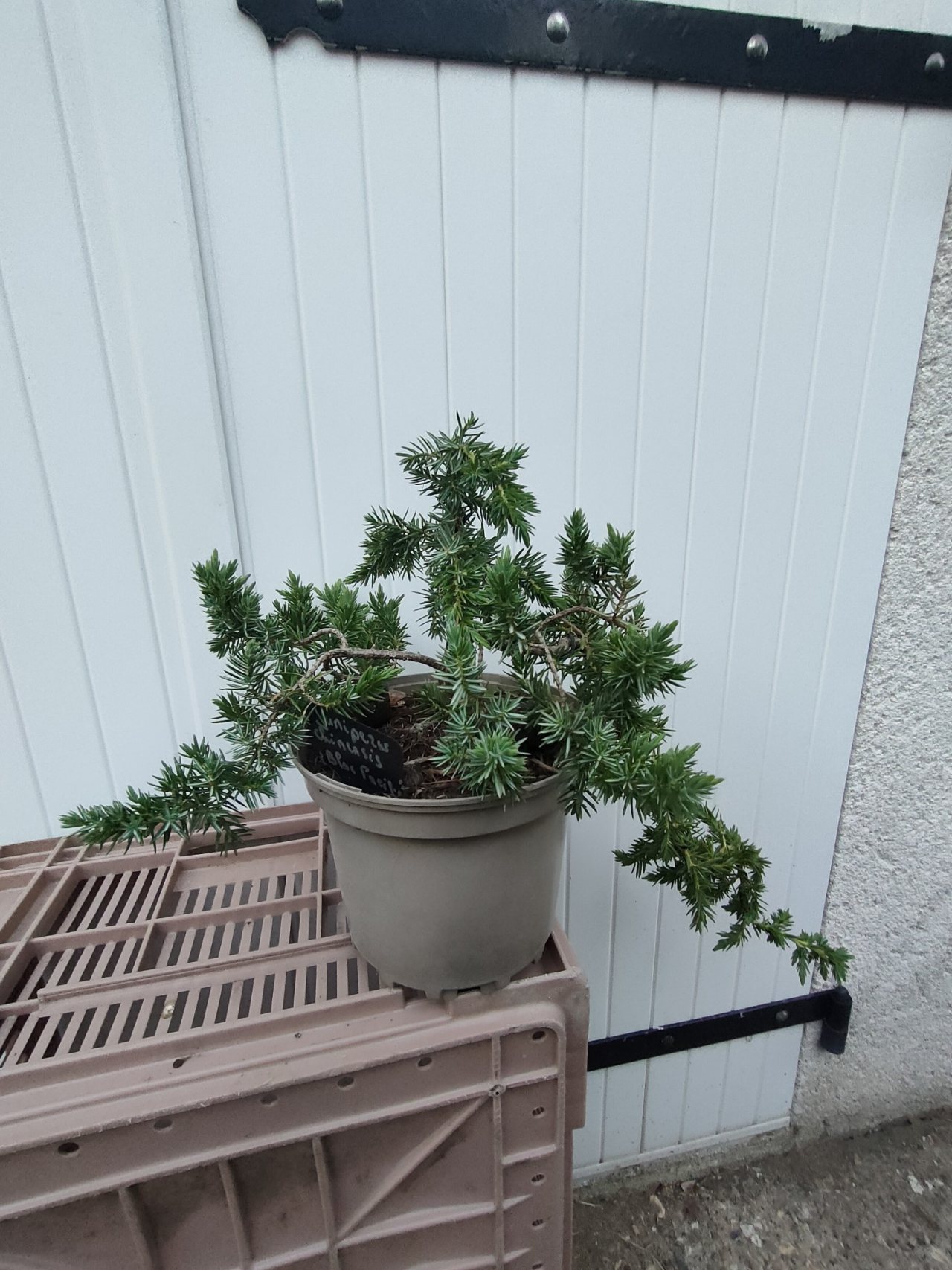 Photo 8