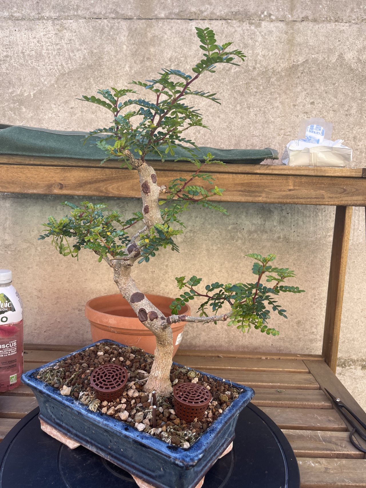 Photo 21