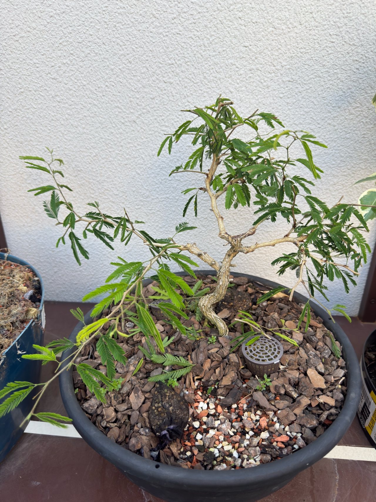 Photo 22