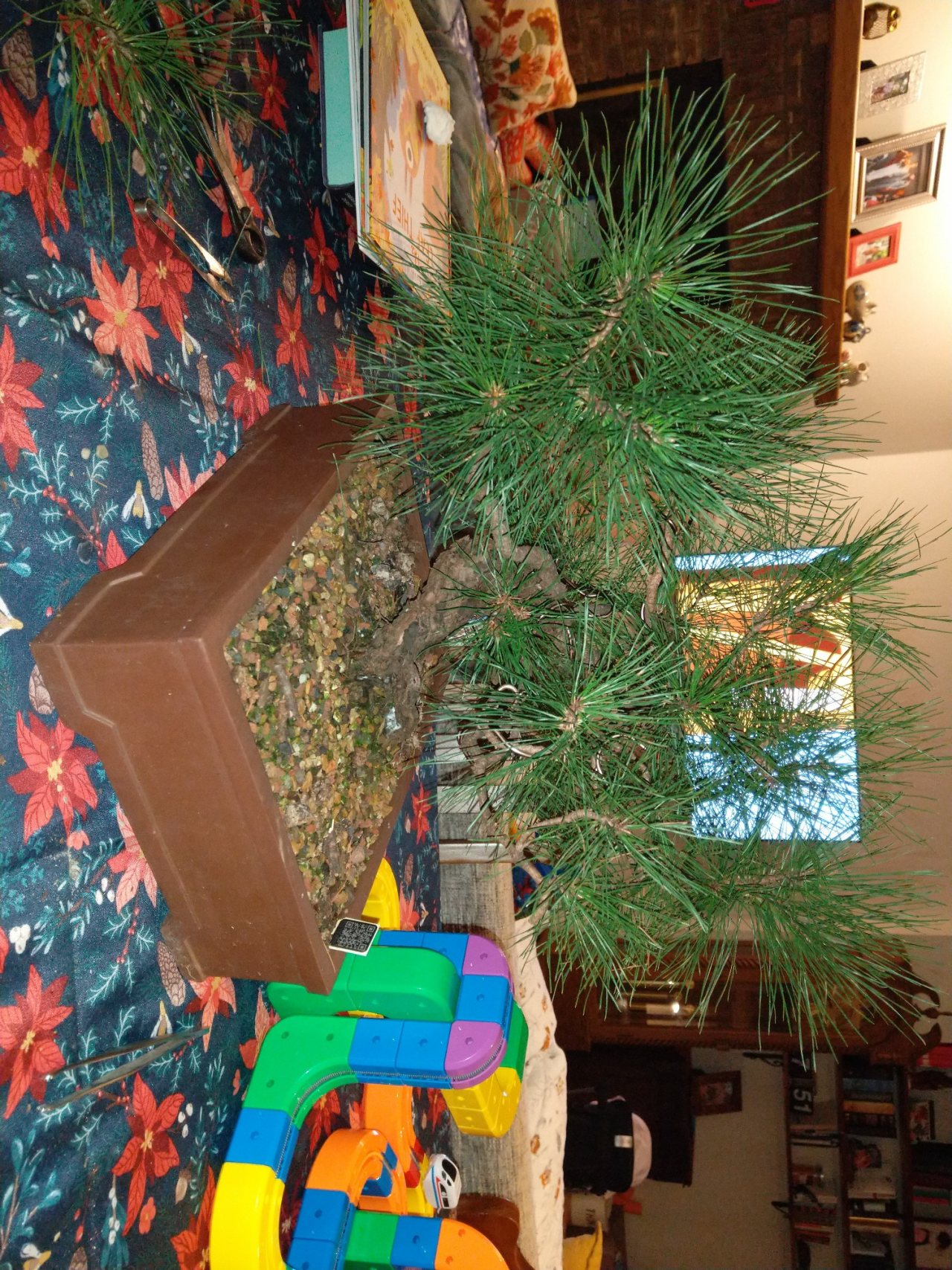 Photo 7