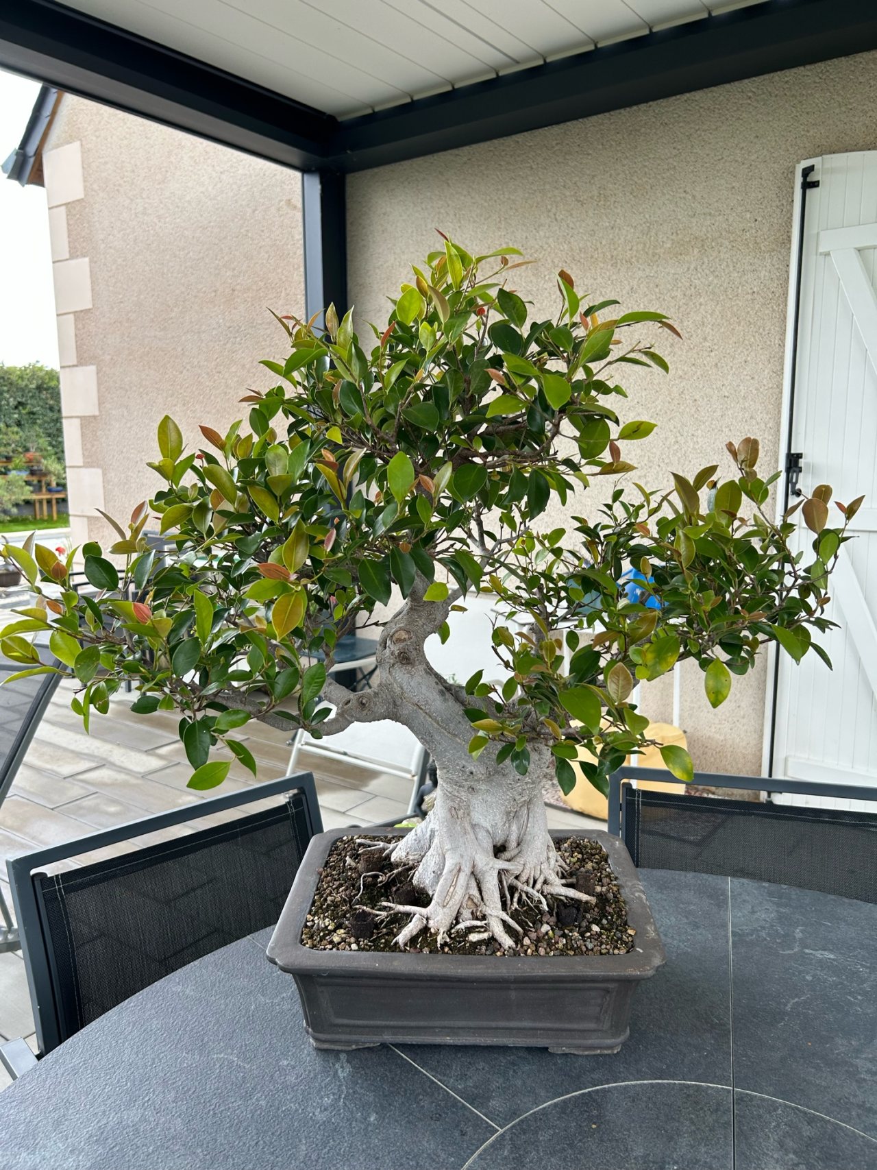 Photo 7