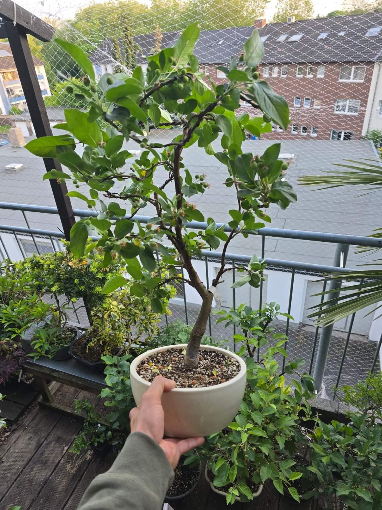 Photo 19
