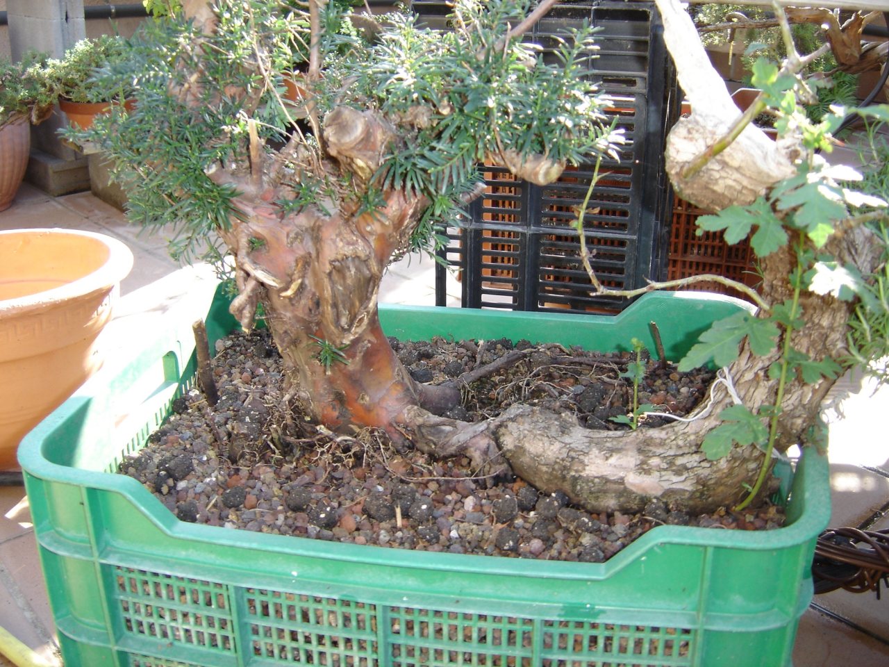 Photo 5