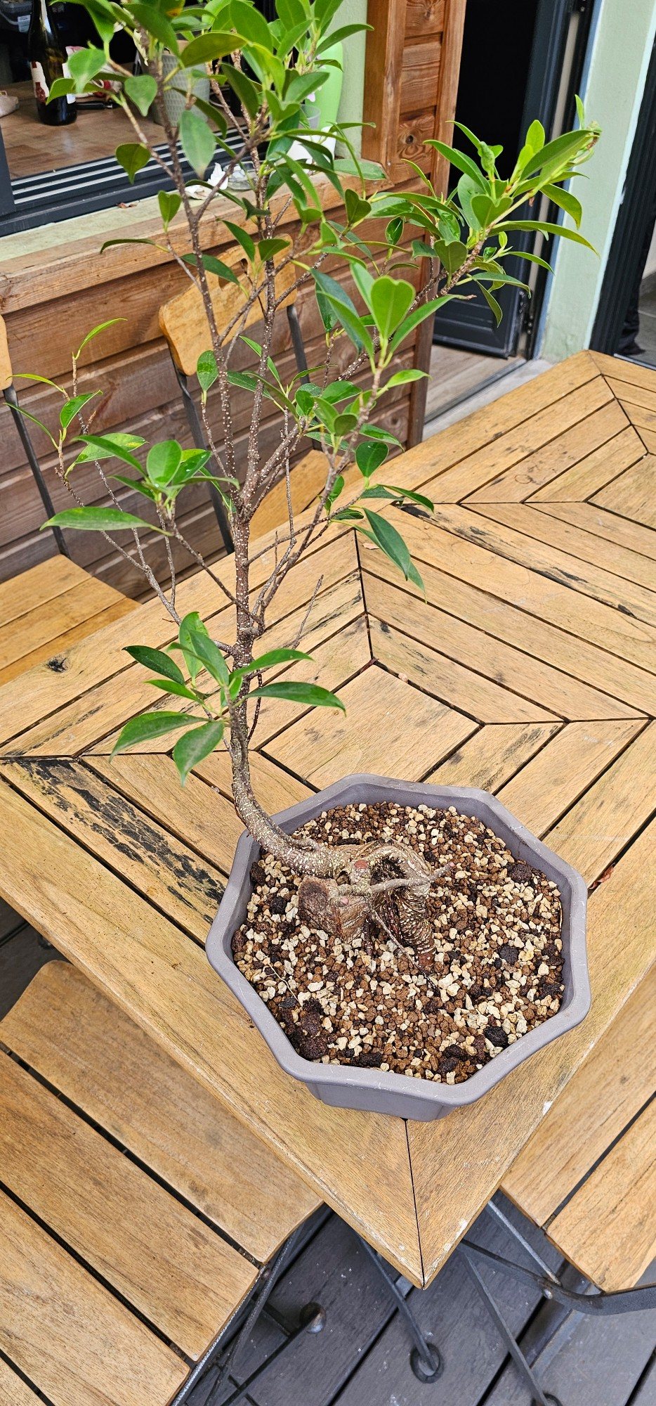 Photo 3