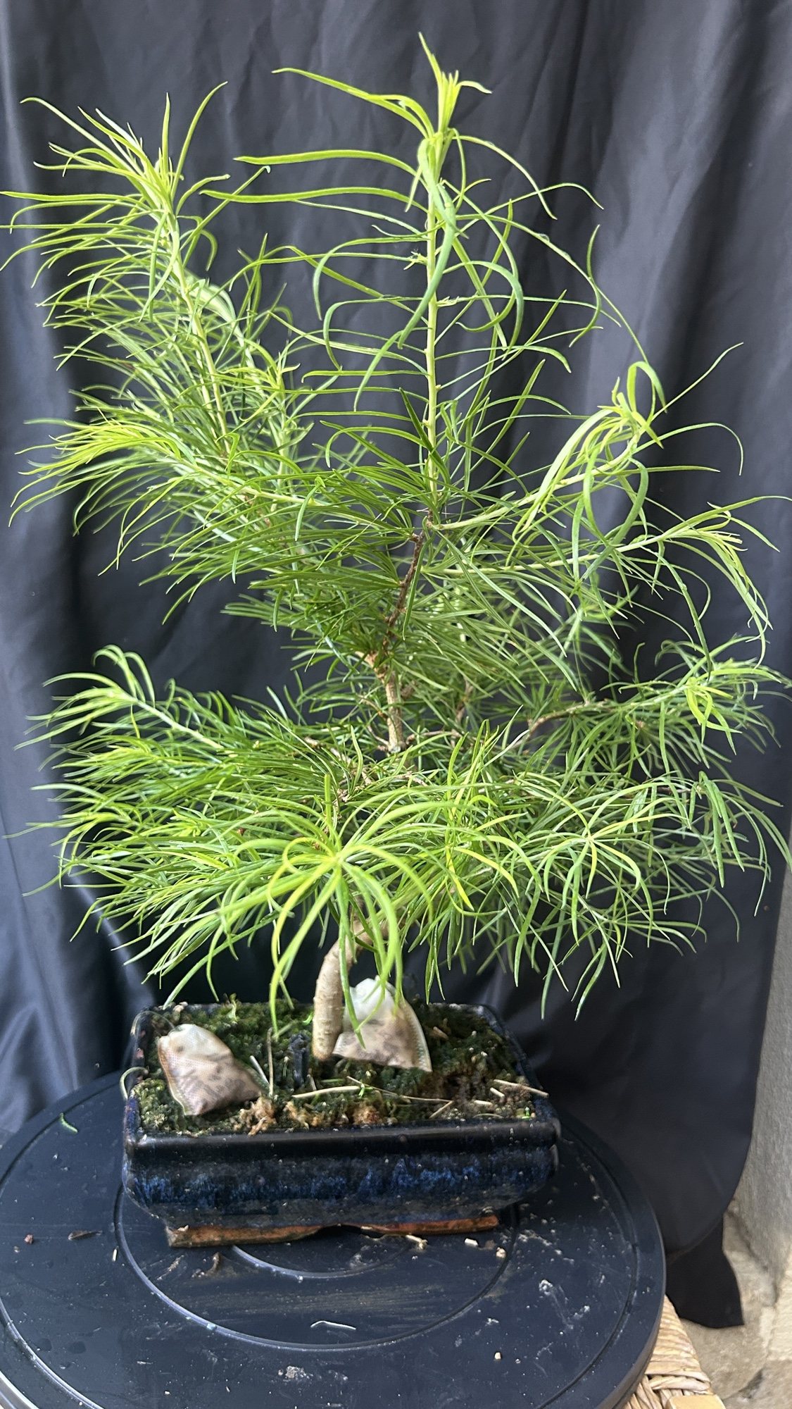 Photo 21