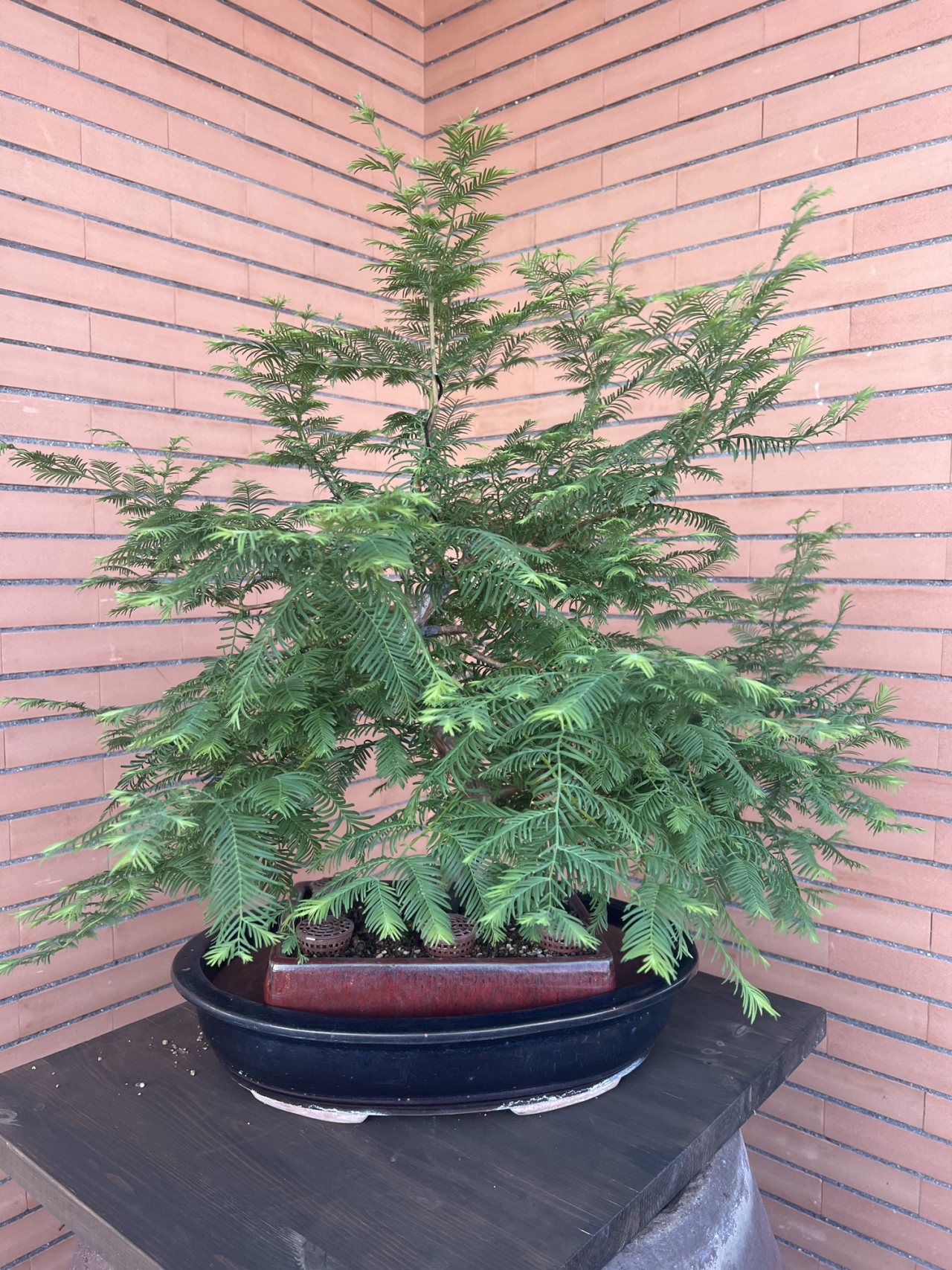 Photo 26