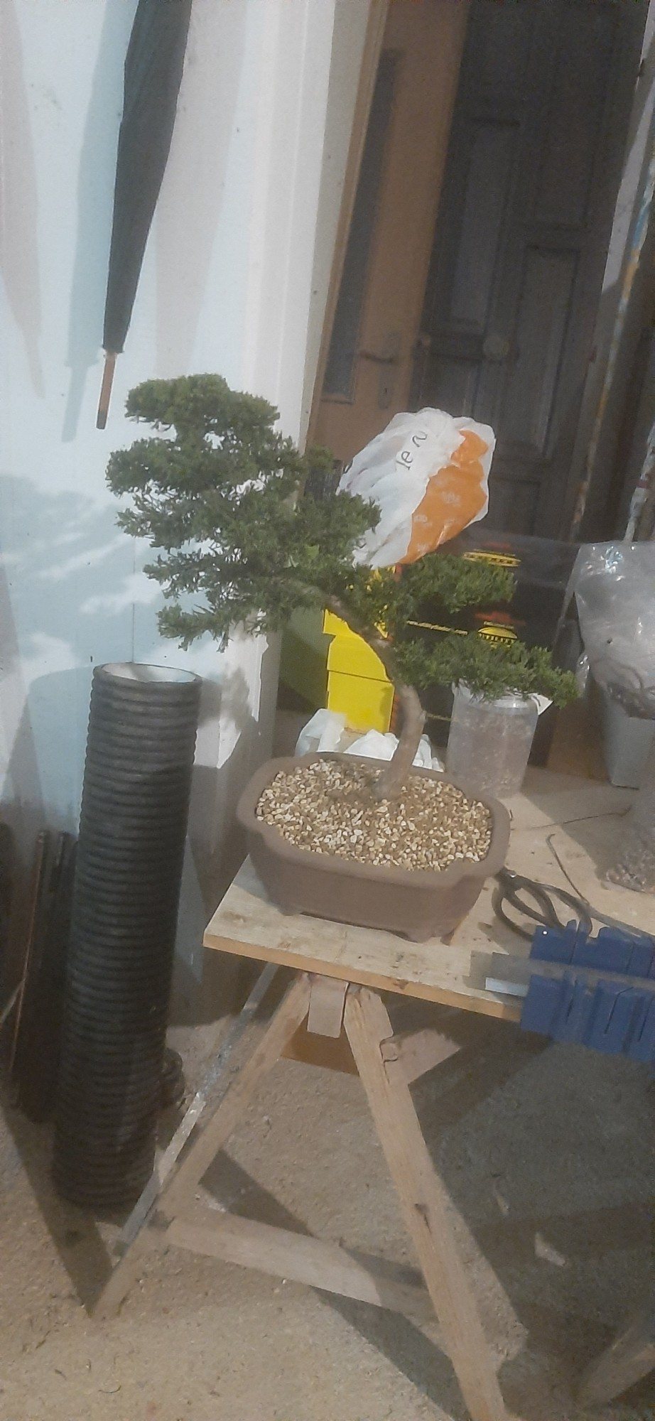 Photo 19