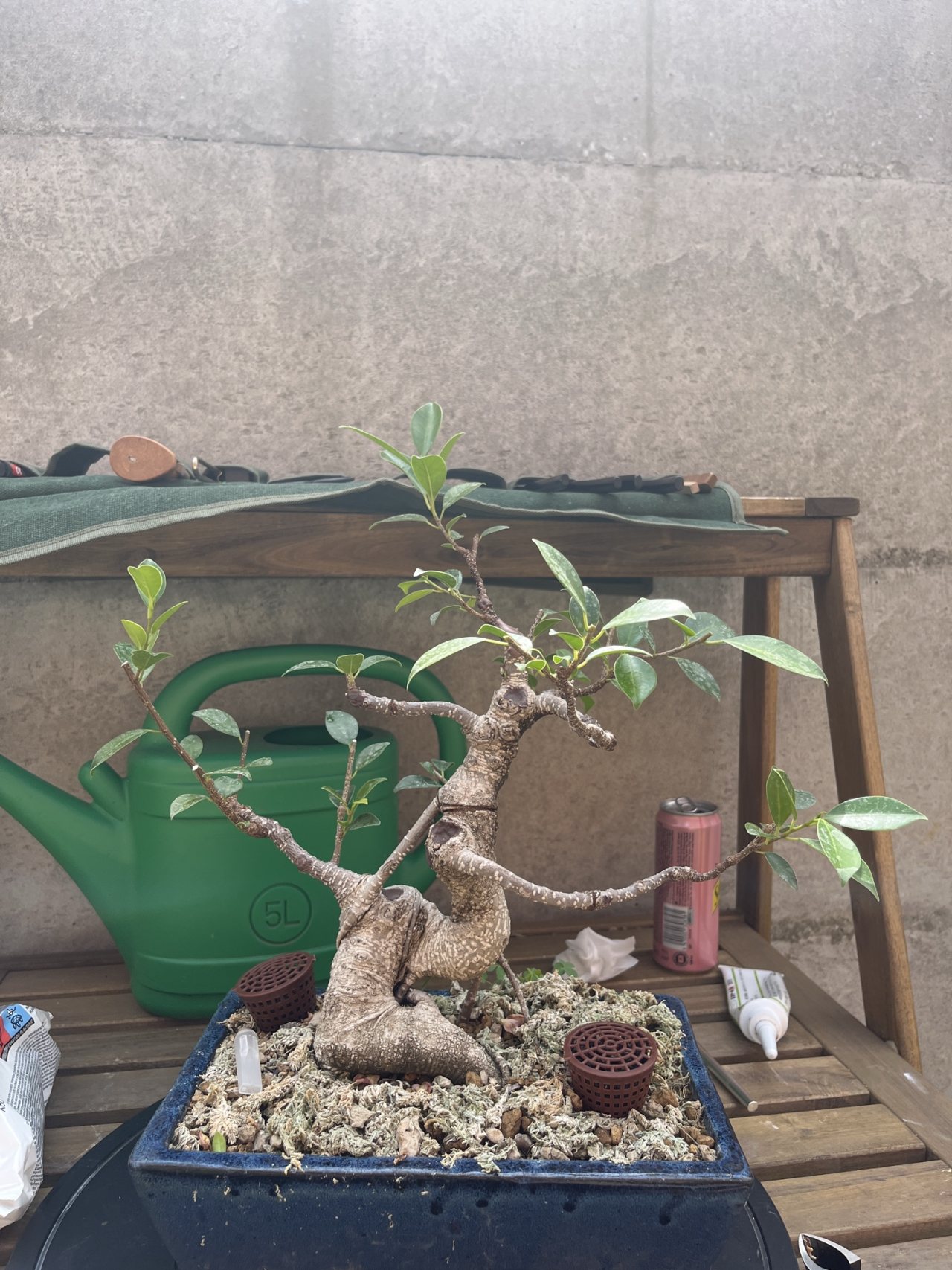 Photo 29