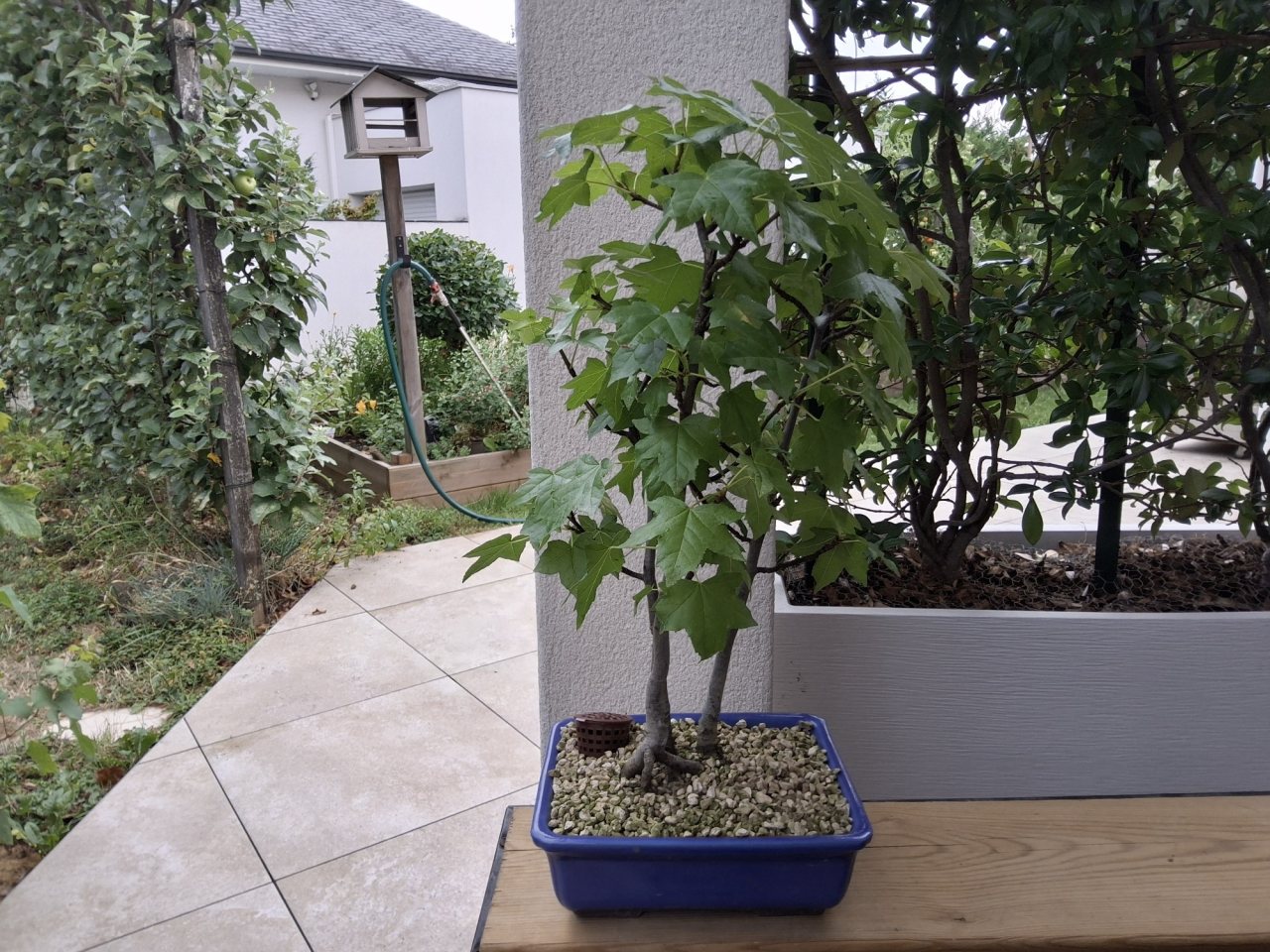 Photo 5