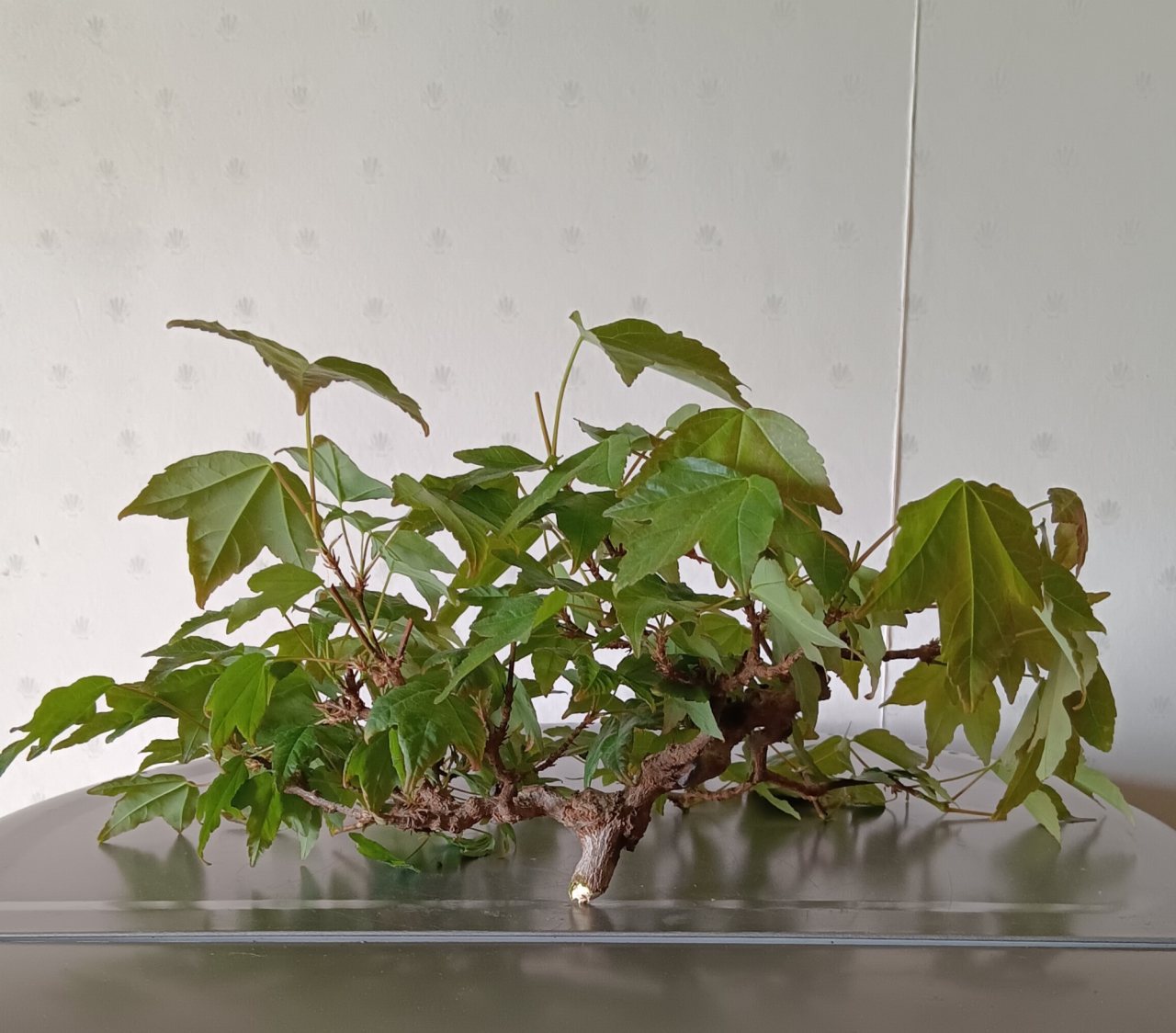 Photo 19