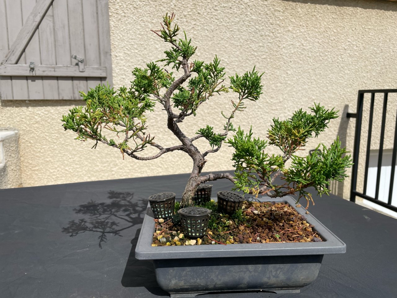 Photo 8