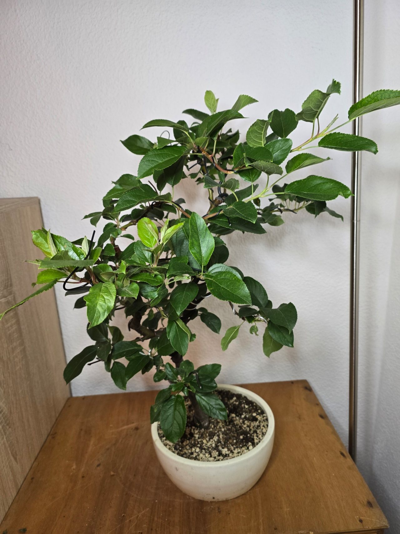 Photo 16