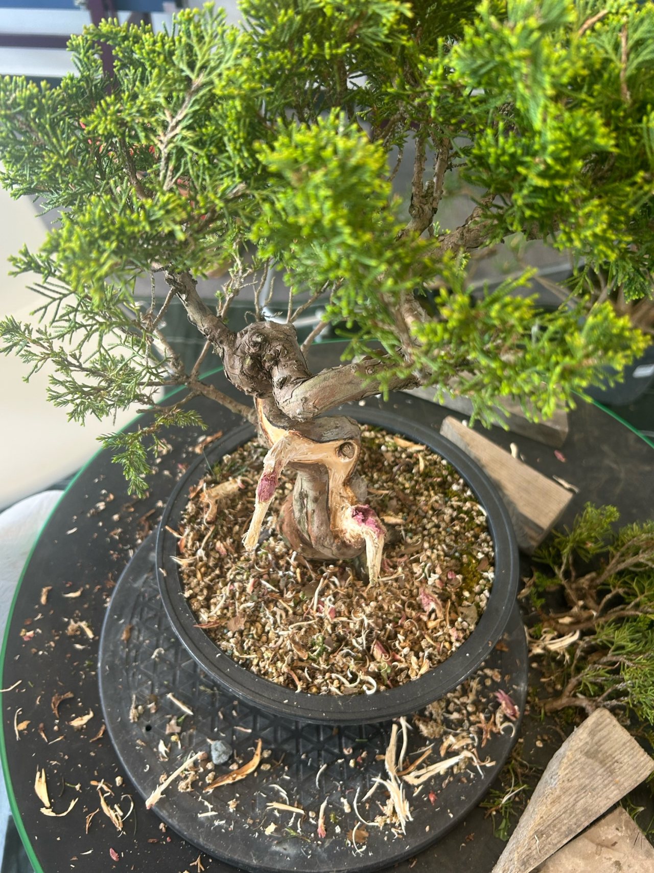 Photo 3