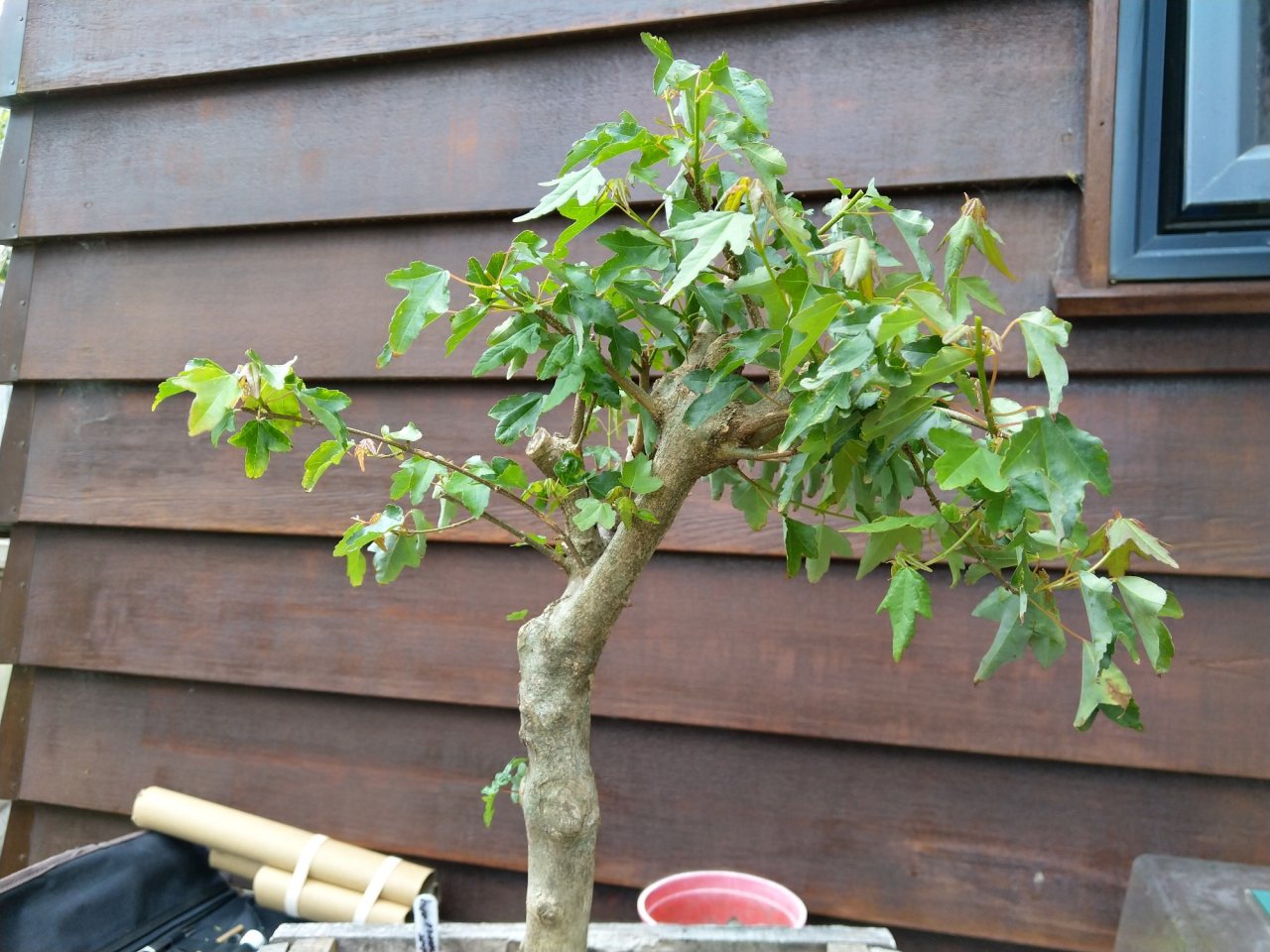 Photo 3