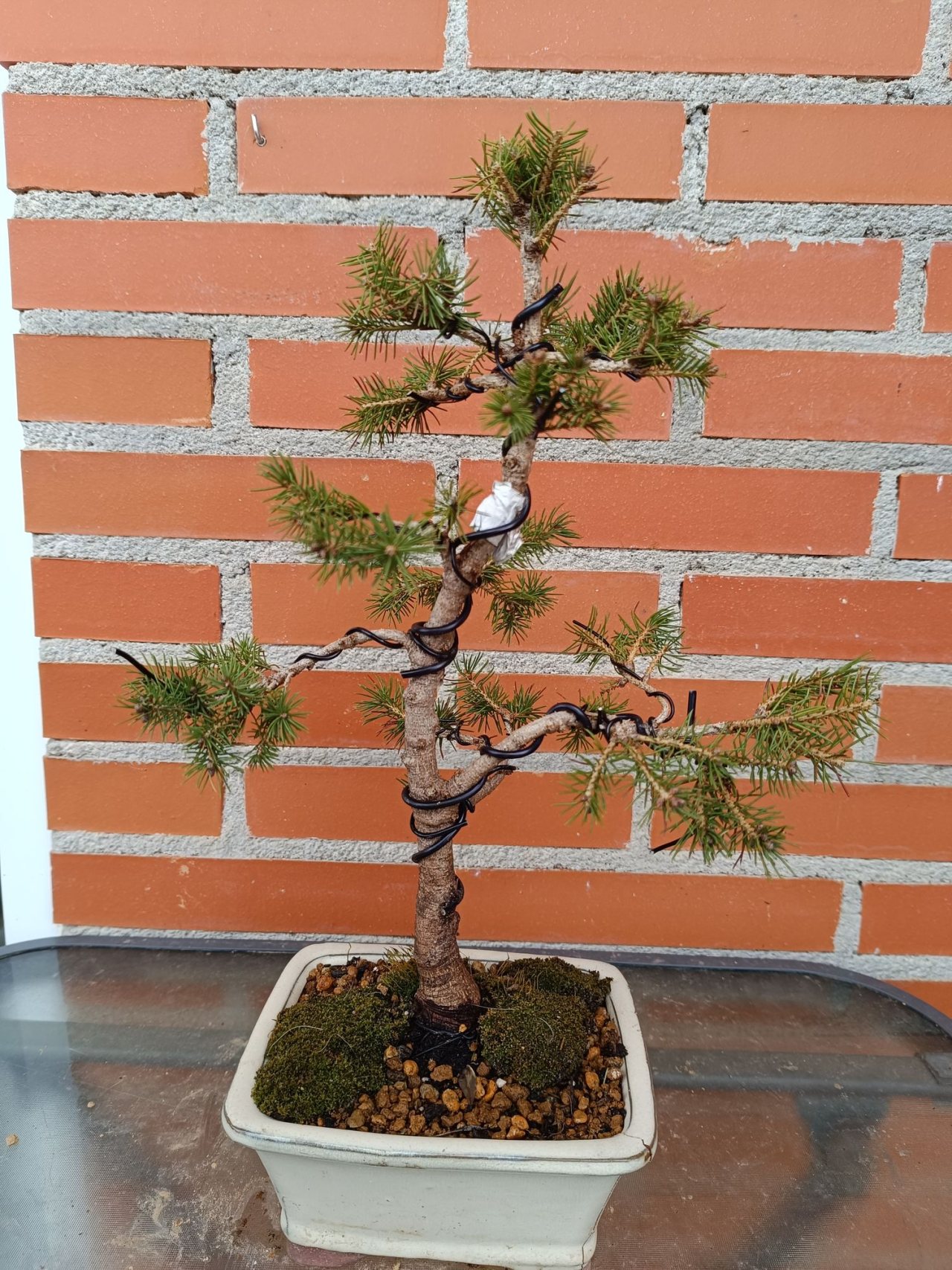 Photo 6