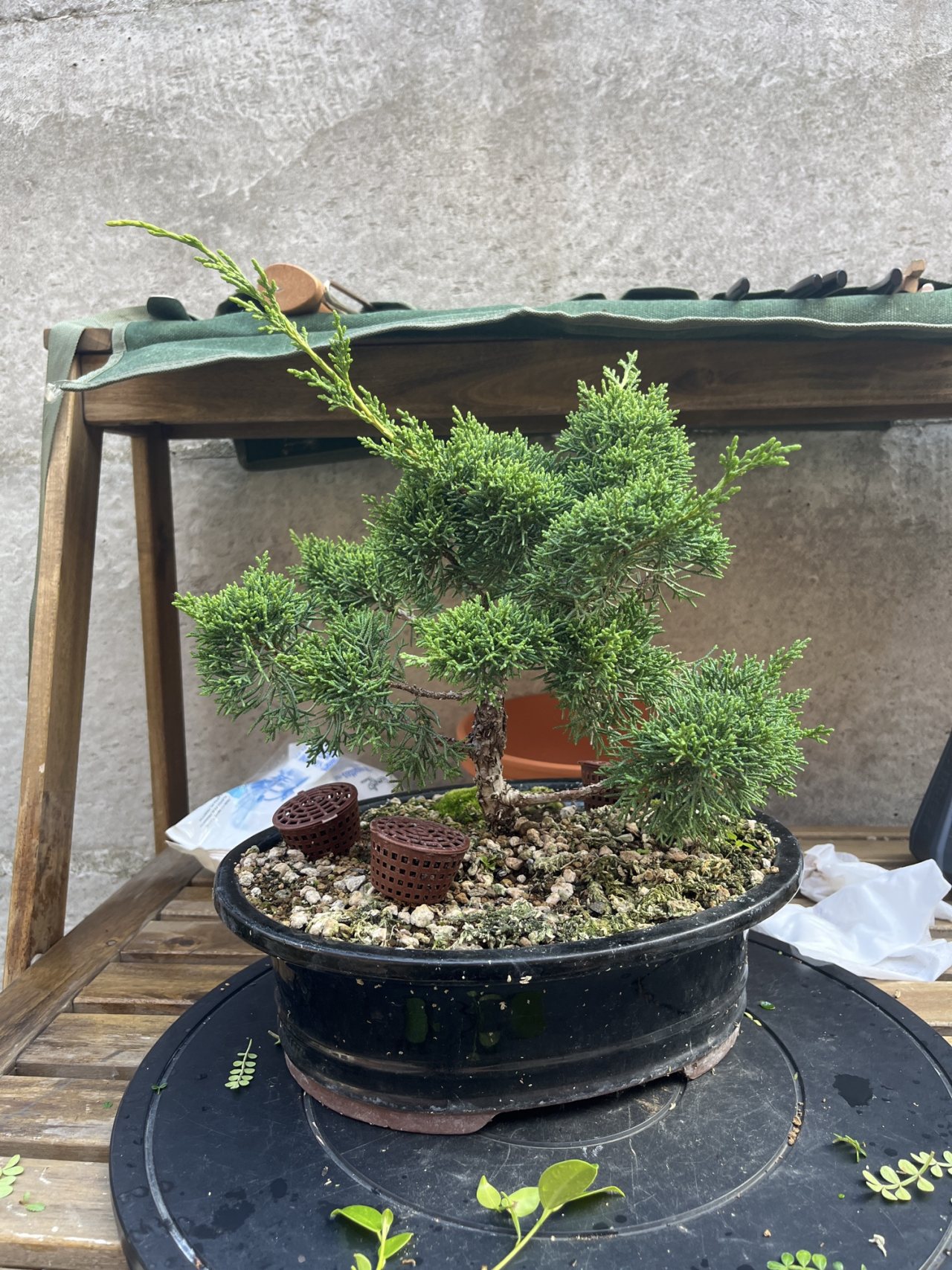 Photo 21
