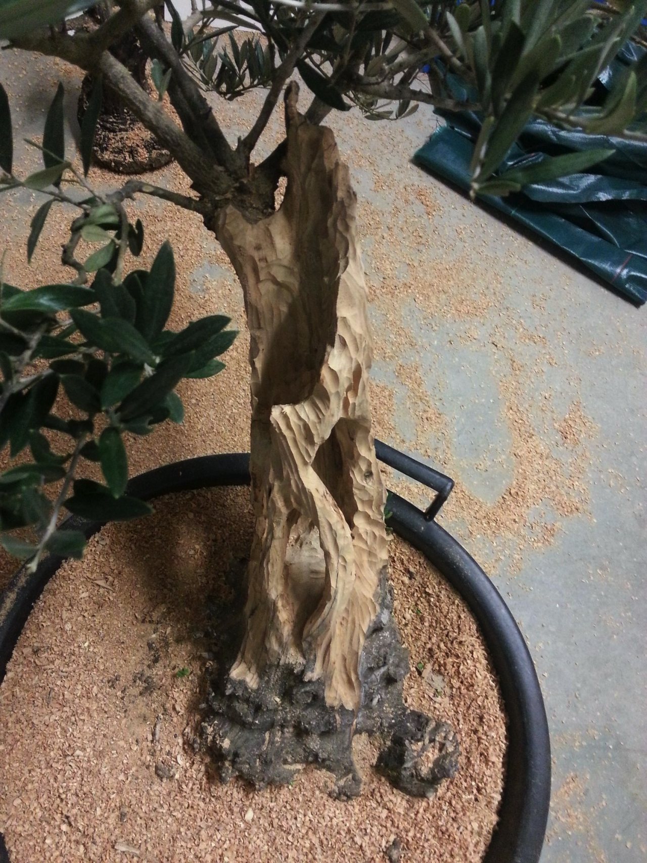 Photo 4