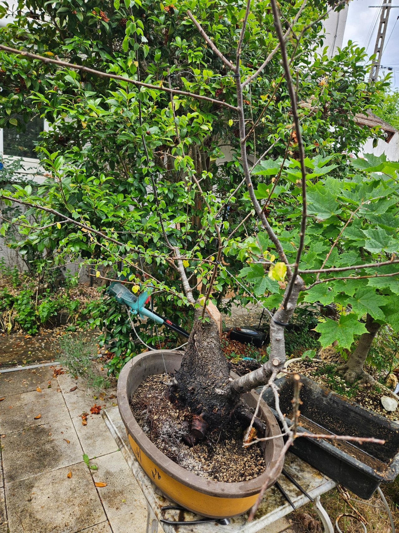 Photo 20