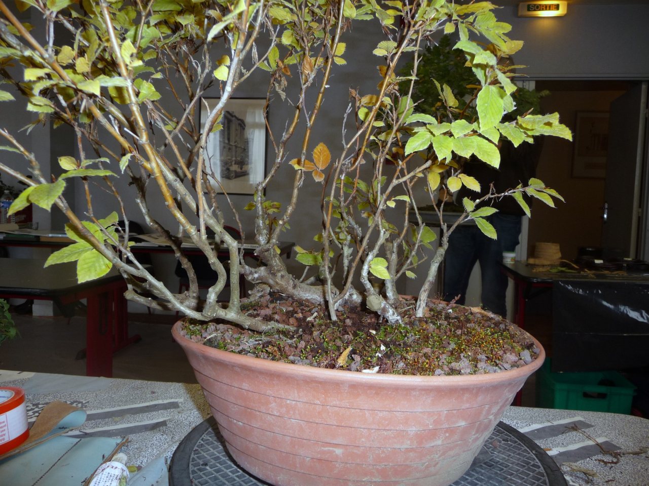 Photo 11