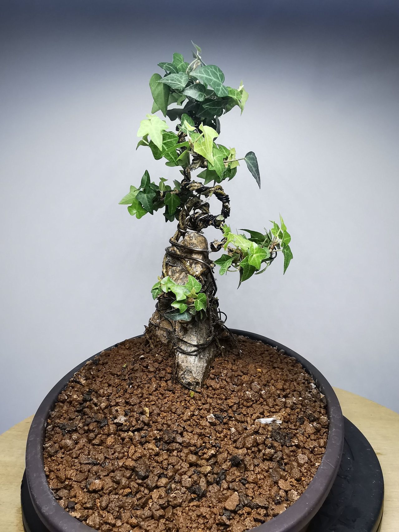 Photo 21