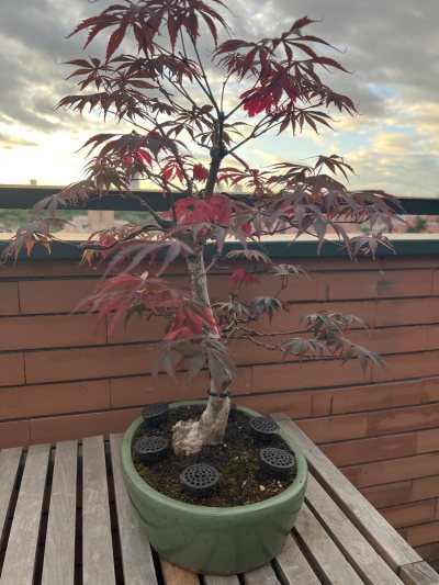 Espejo Rojo