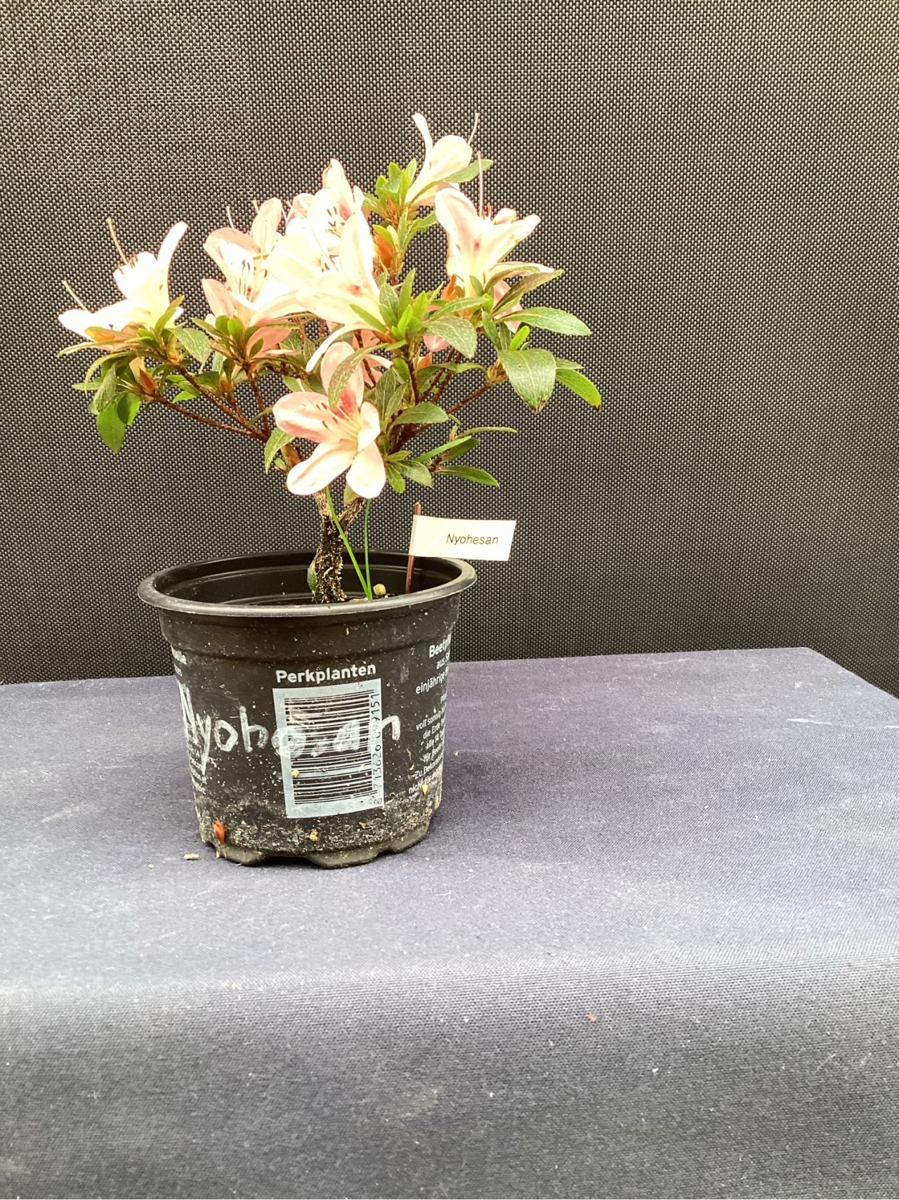 Photo 2