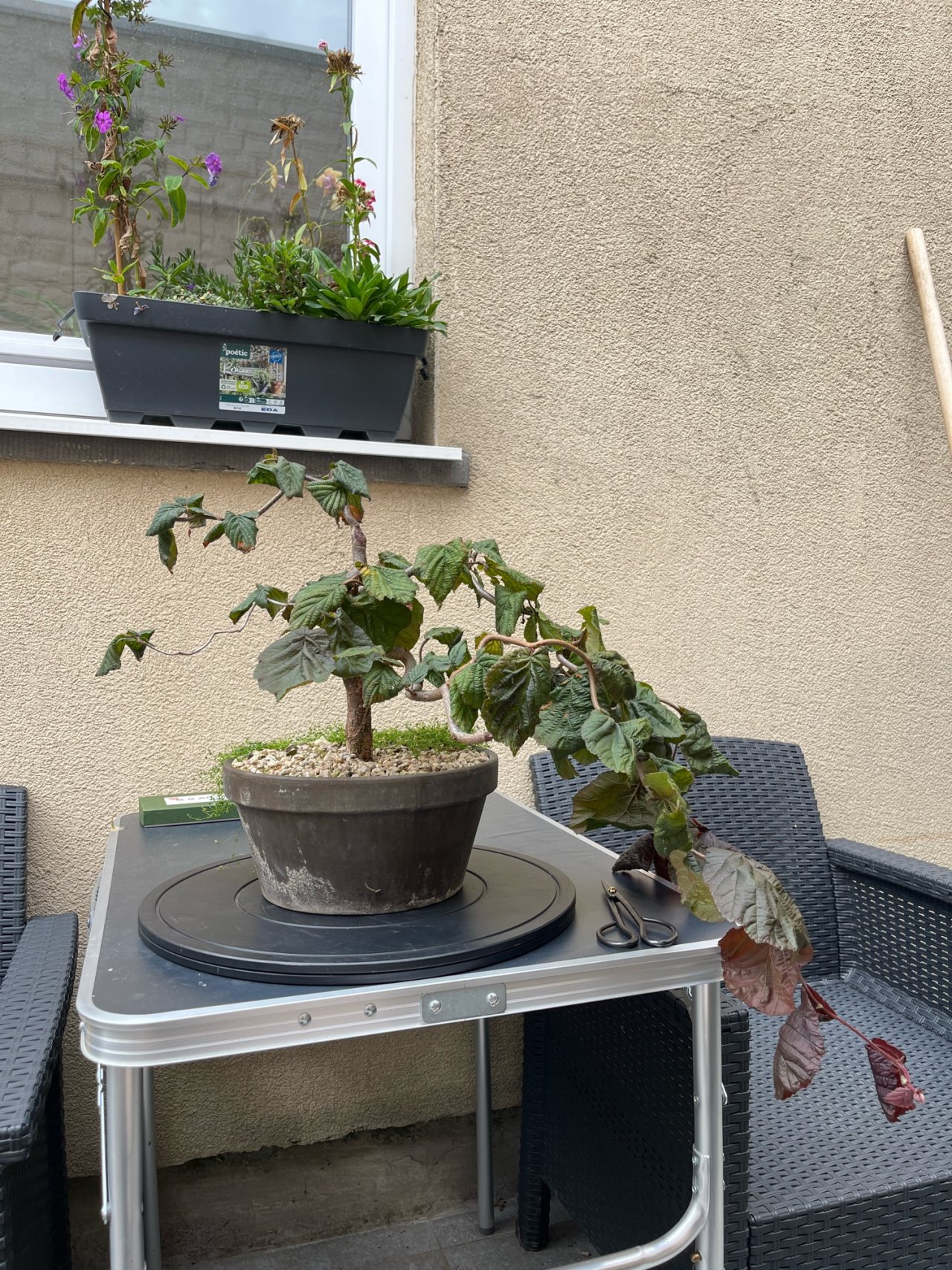 Photo 4
