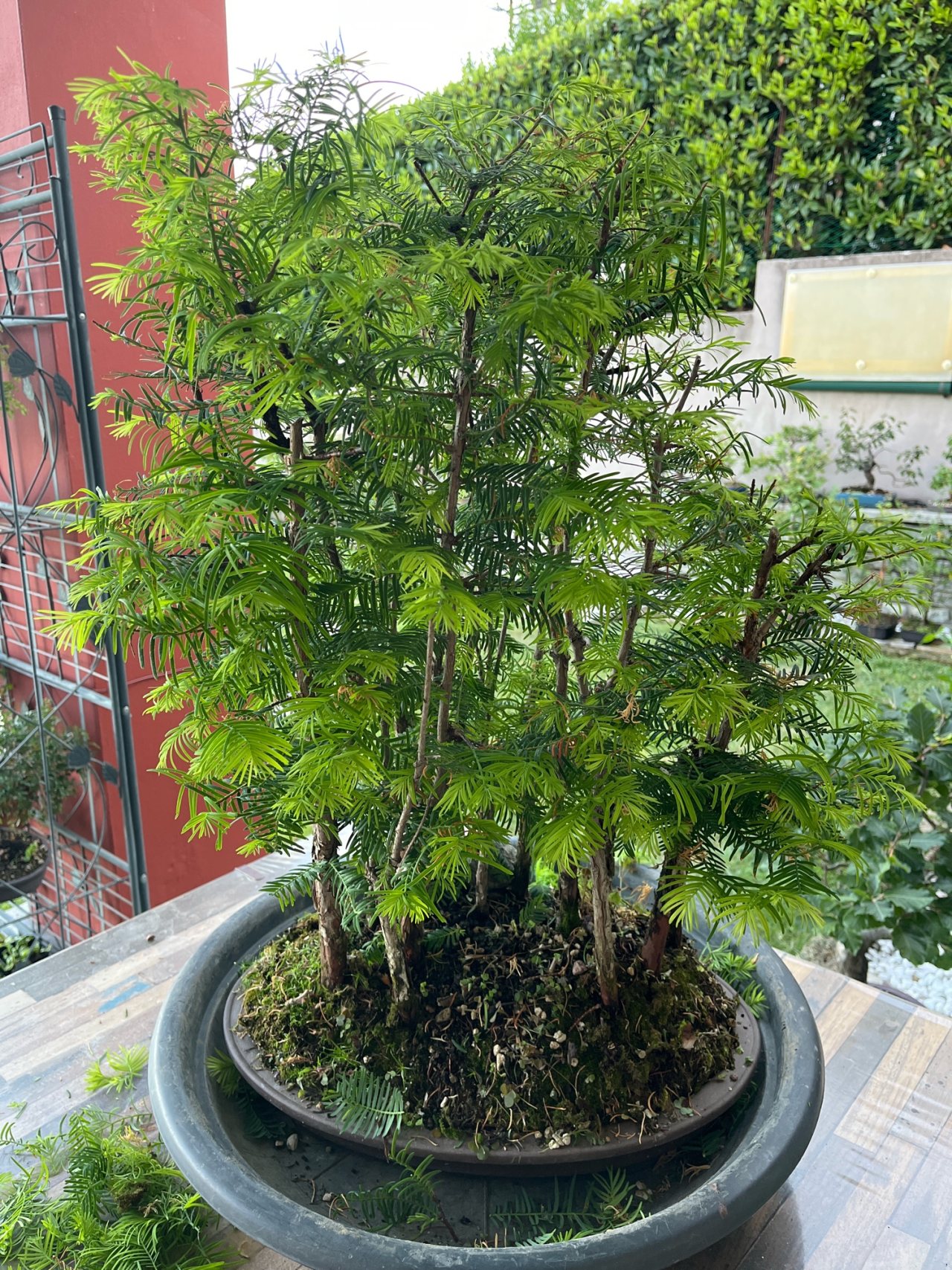 Photo 20