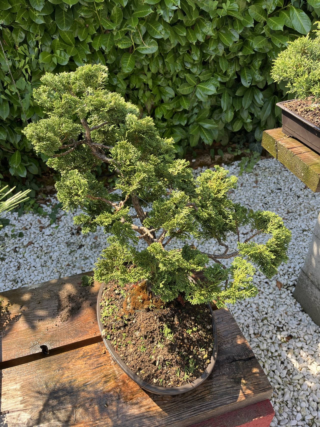 Photo 18