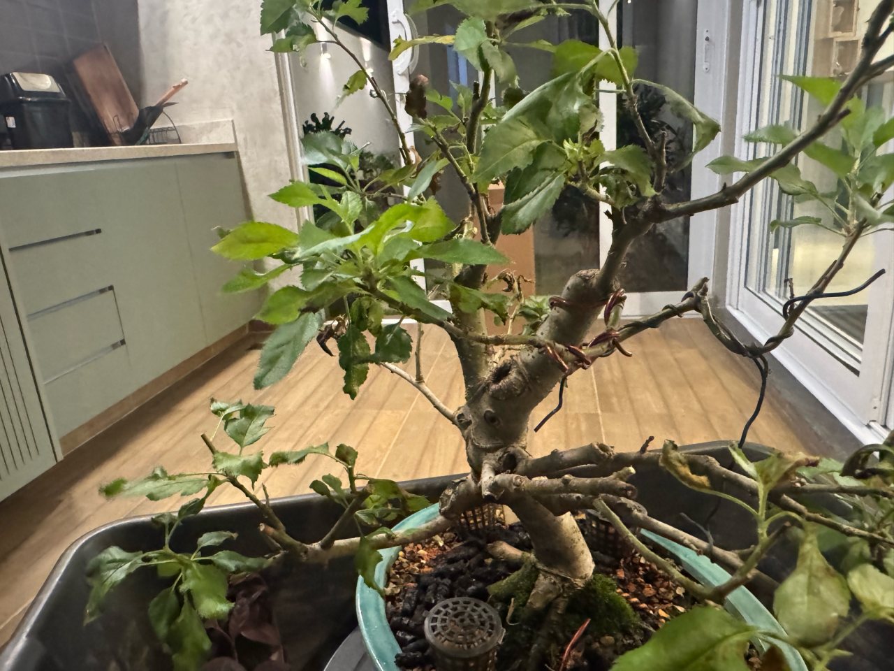 Photo 18