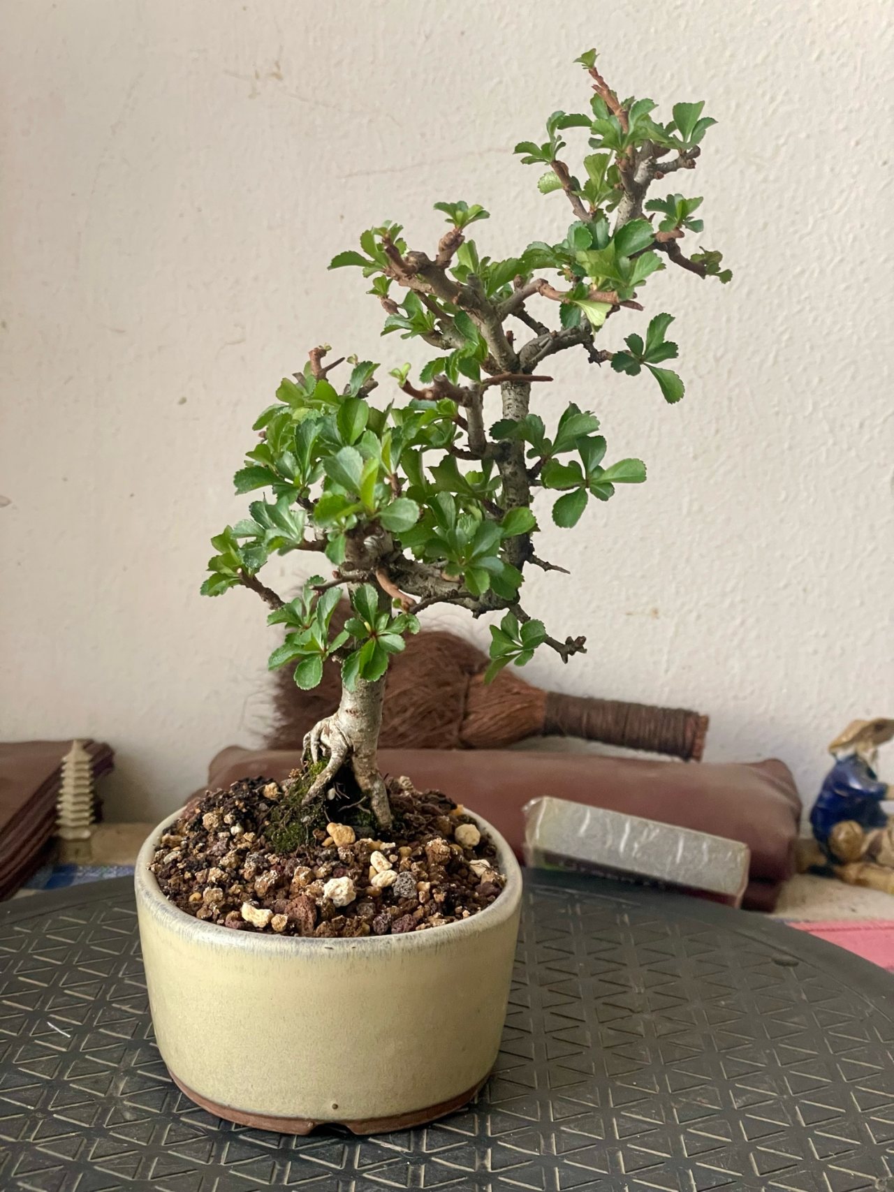 Photo 20
