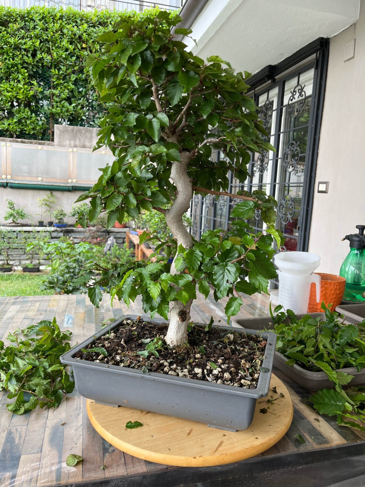Photo 8