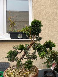 Drahtung - 06.10.25 - Photo 1/3
