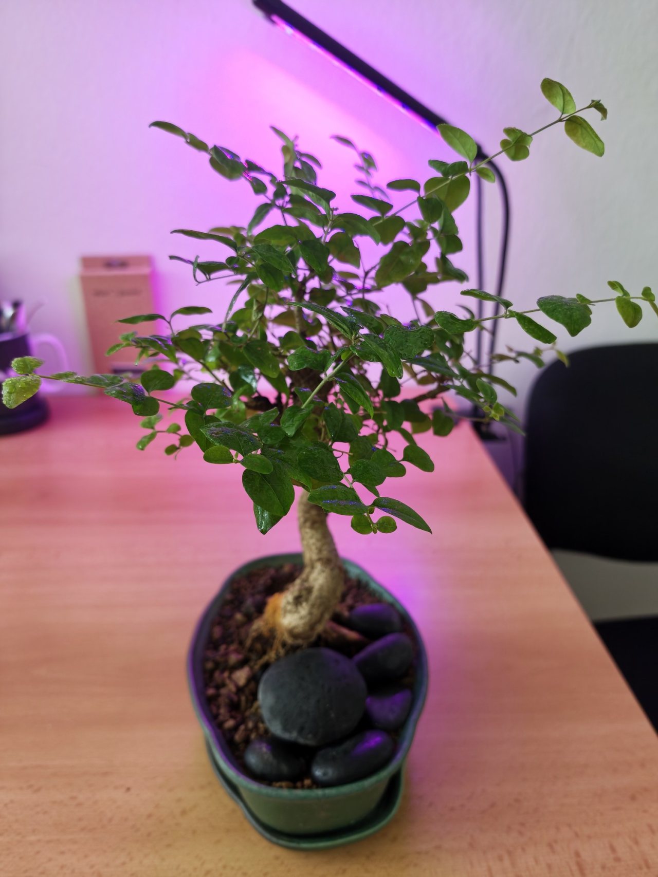 Photo 21