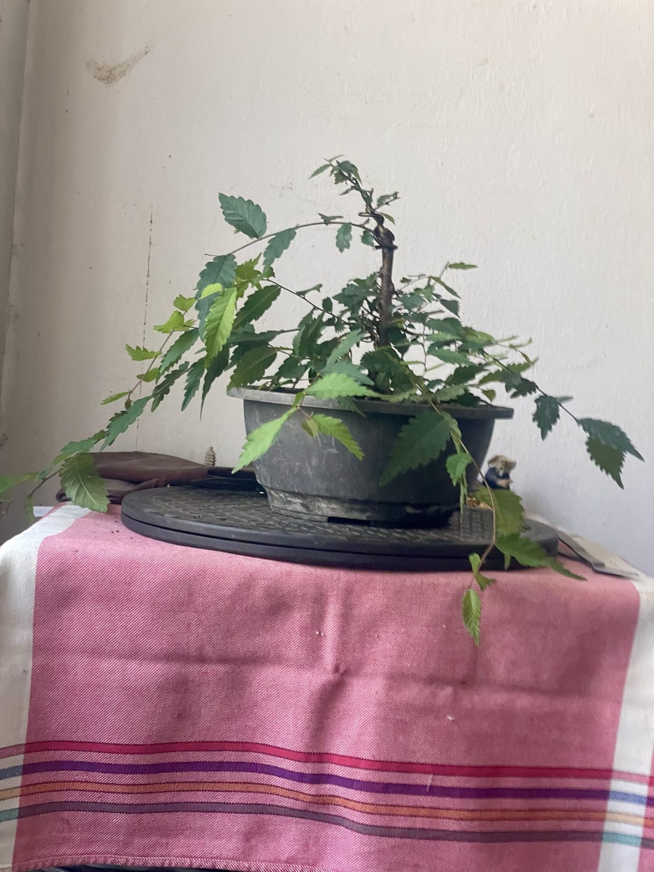Photo 17