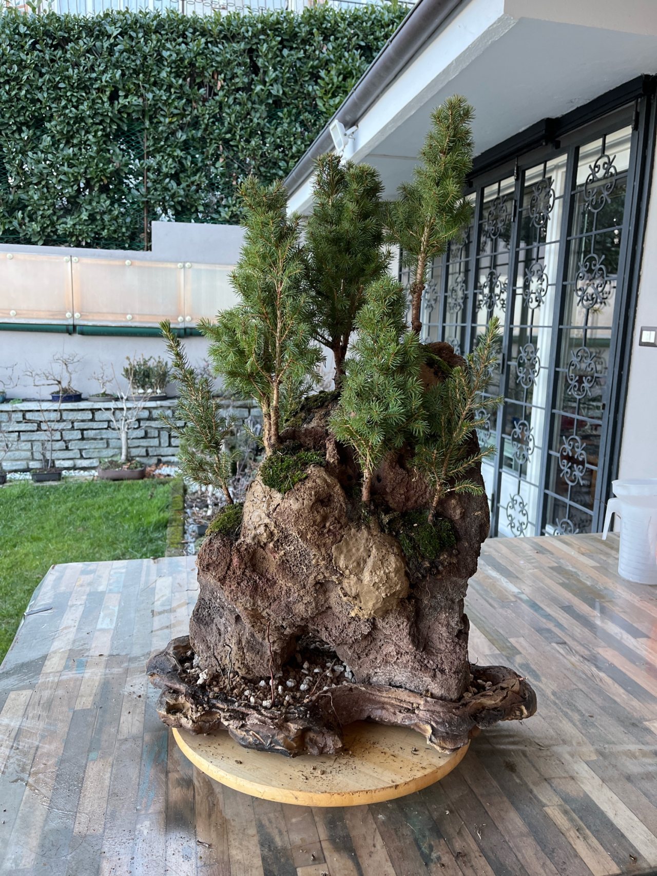 Photo 6