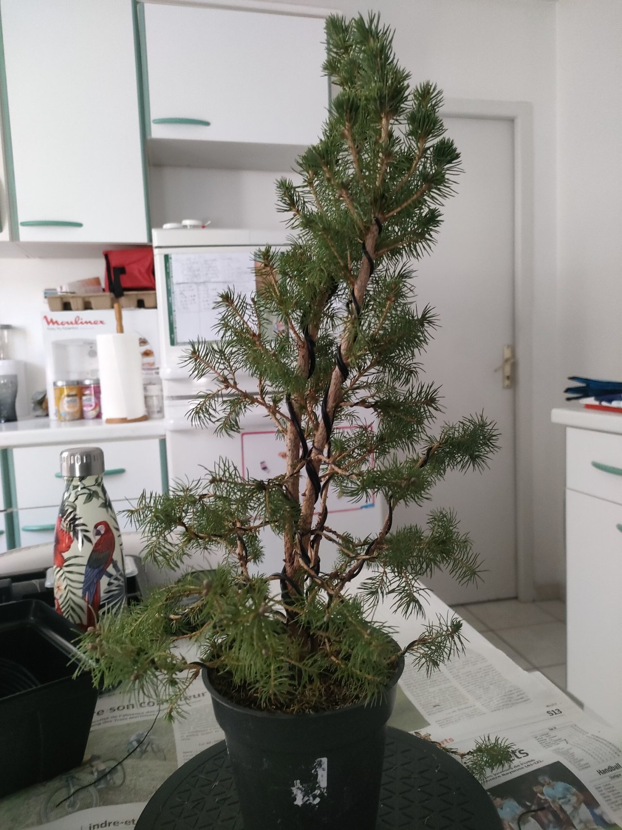 Photo 15