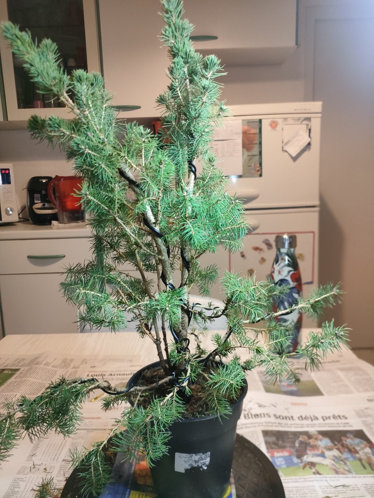 Photo 19