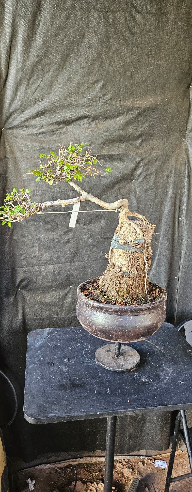 Photo 4